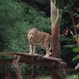 20070628_singapore_bintan_193